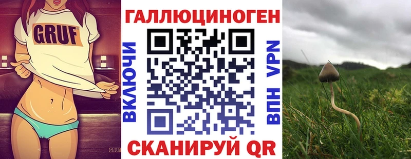 где найти наркотики  Ревда  Галлюциногенные грибы Magic Shrooms 